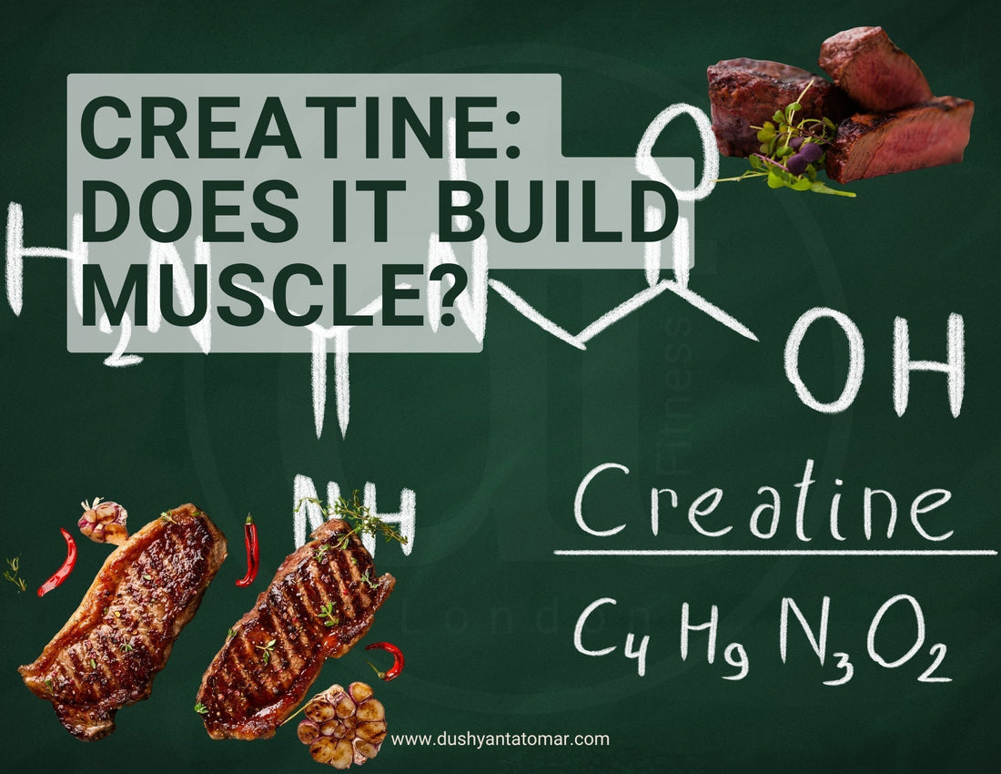 CREATINE: THE MOST MISUNDERSTOOD MUSCLE-BUILDING SUPPLEMENT
