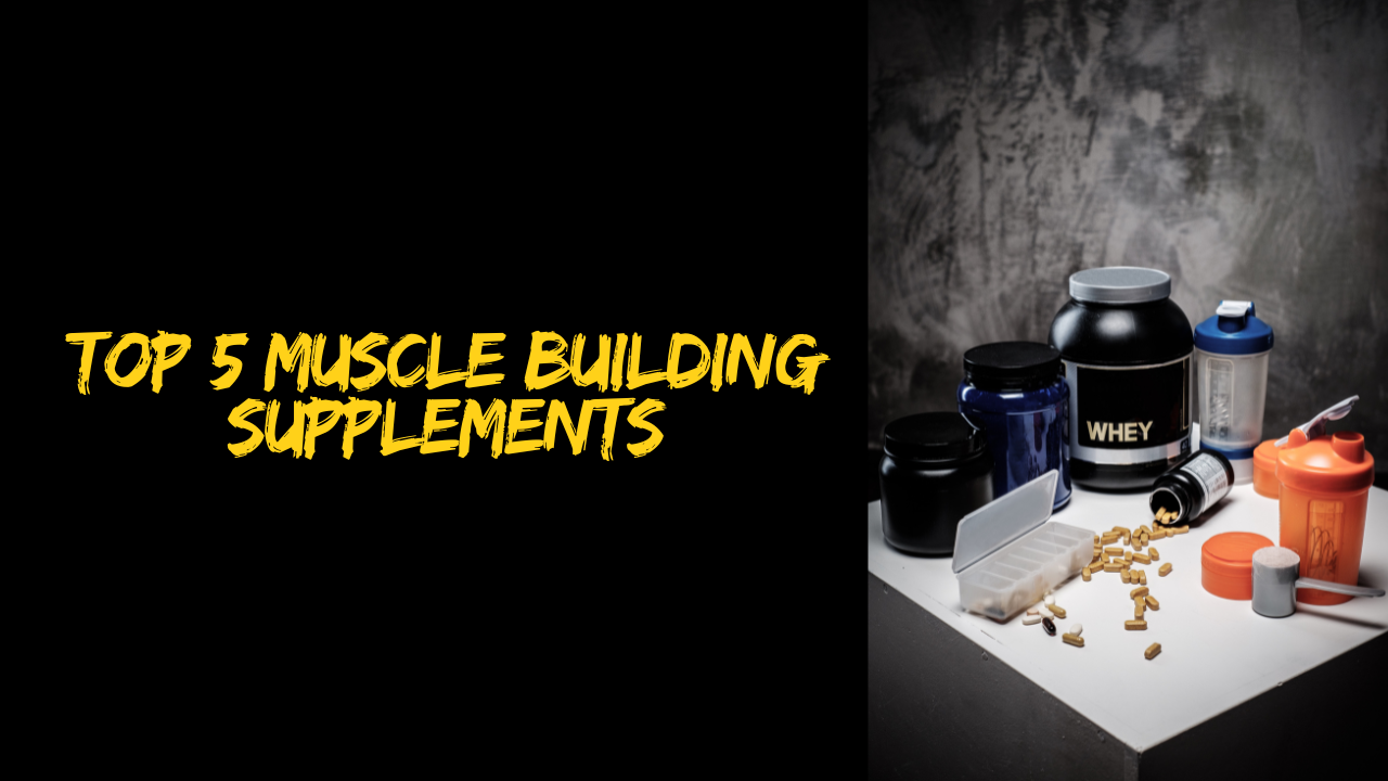 THE TOP 5 SUPPLEMENTS FOR MUSCLEBUILDING WHAT REALLY WORKS? DT