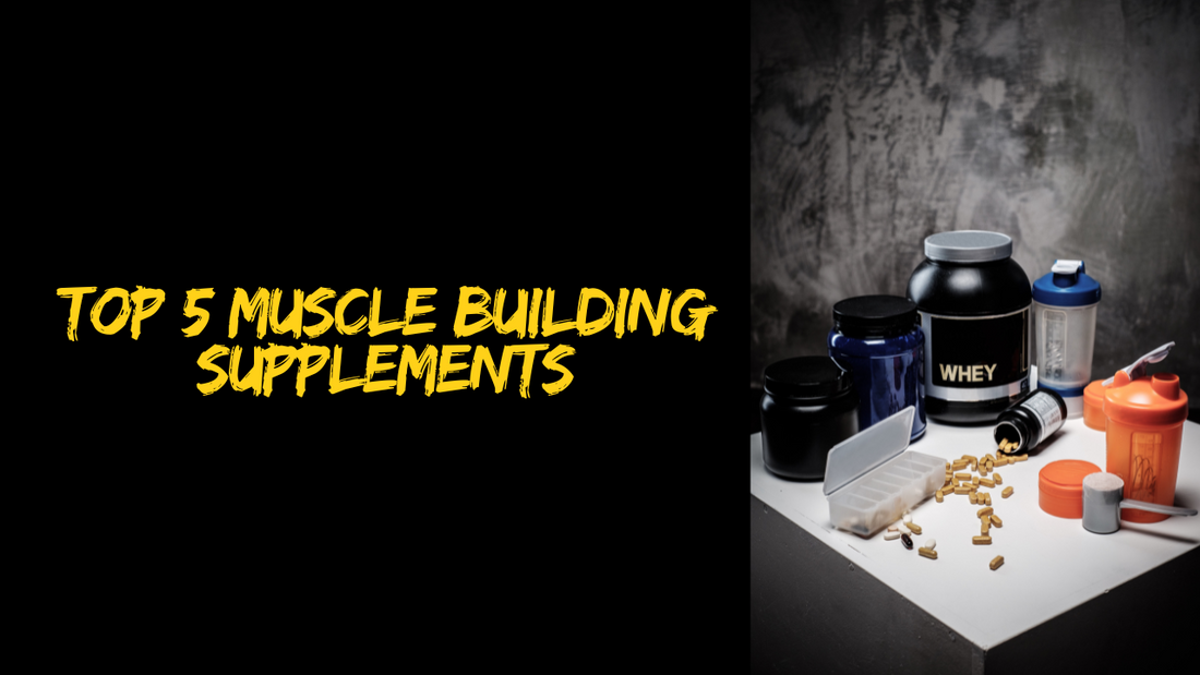 THE TOP 5 SUPPLEMENTS FOR MUSCLE-BUILDING: WHAT REALLY WORKS?